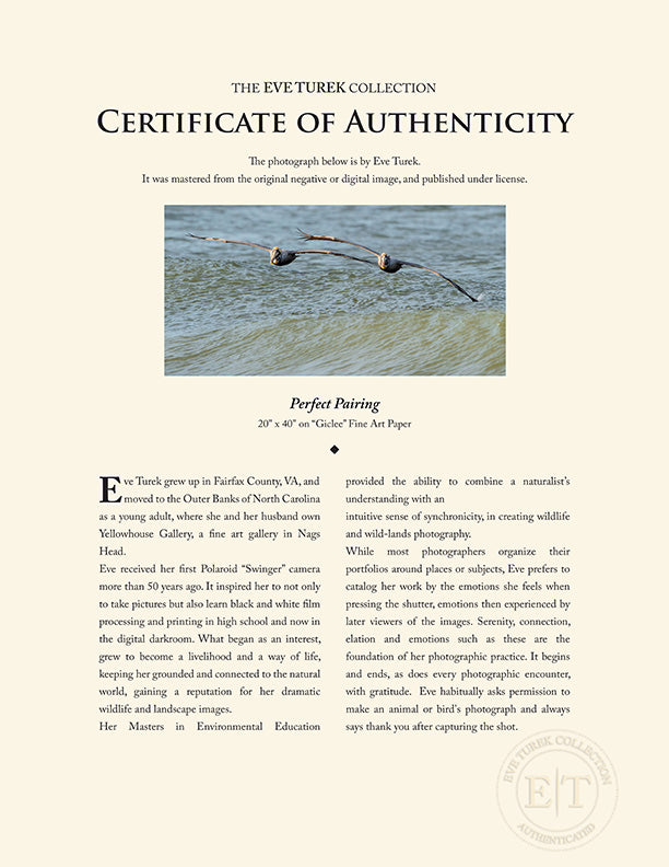 "Perfect Pairing" by Eve Turek Photography