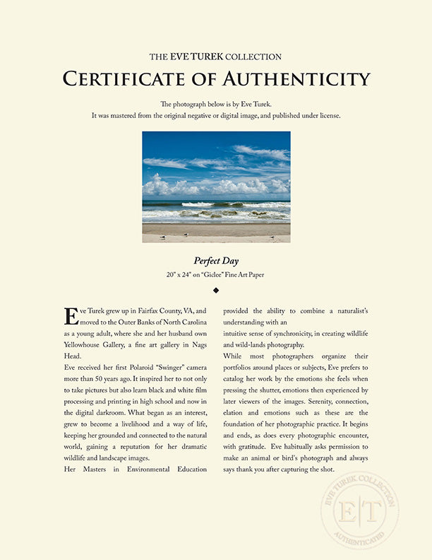 "Perfect Day" by Eve Turek Photography