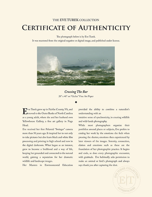 "Crossing The Bar" by Eve Turek Photography