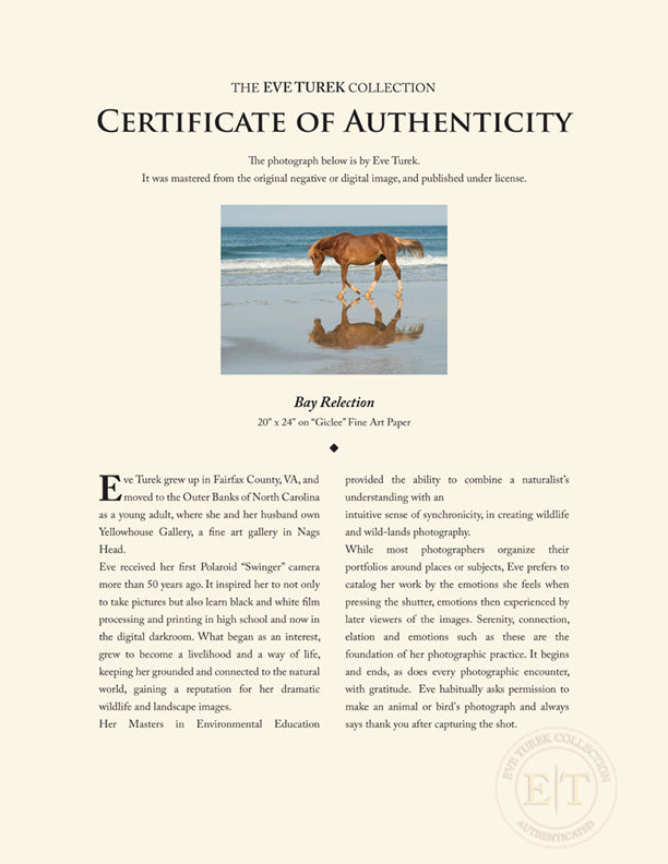 "Bay Reflection" by Eve Turek Photography