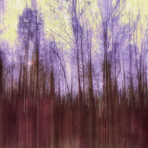 Purple Trees