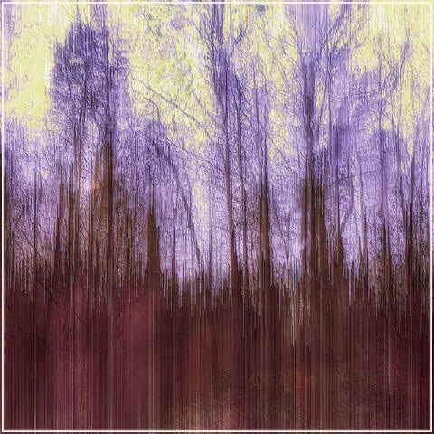 Purple Trees