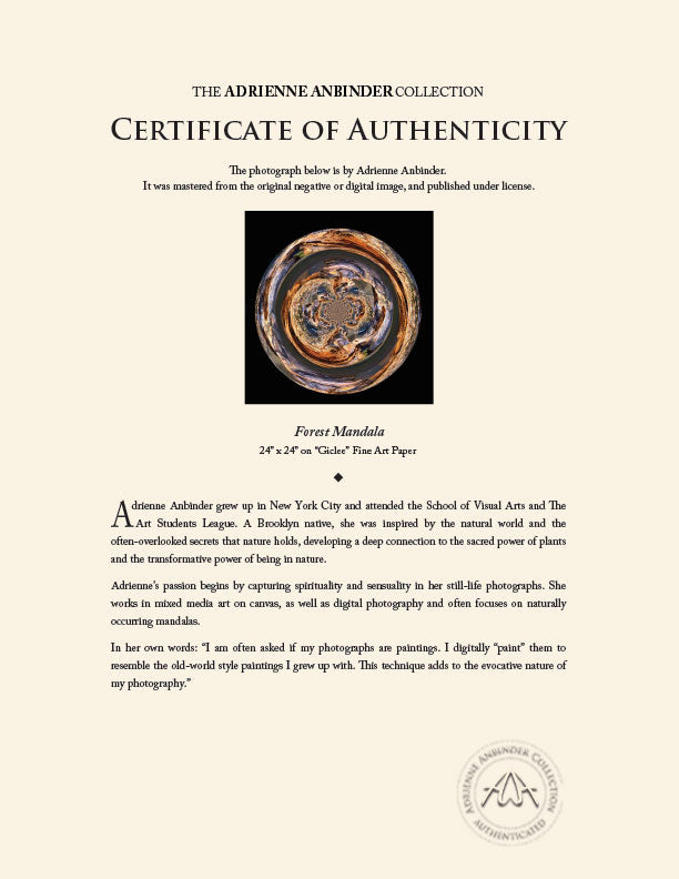 Forest Mandala