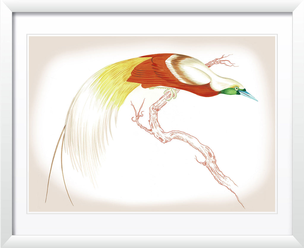 "Swoop & Sway 2" by Metin Salih