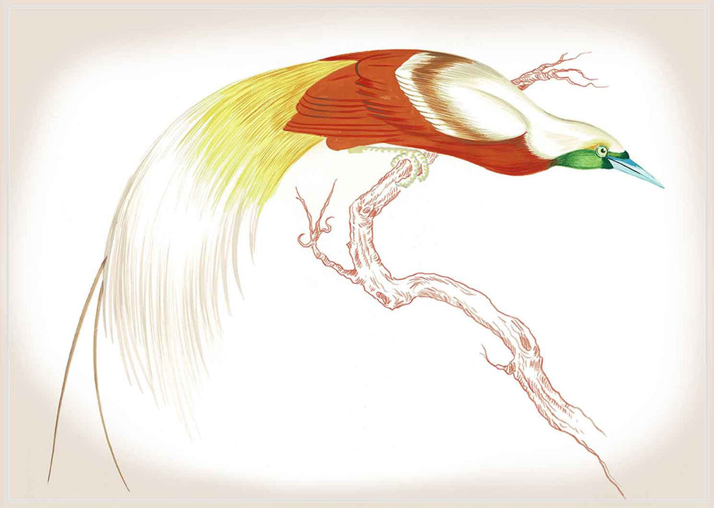 "Swoop & Sway 2" by Metin Salih