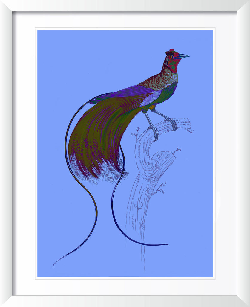 "Kid Creole 3" by Metin Salih