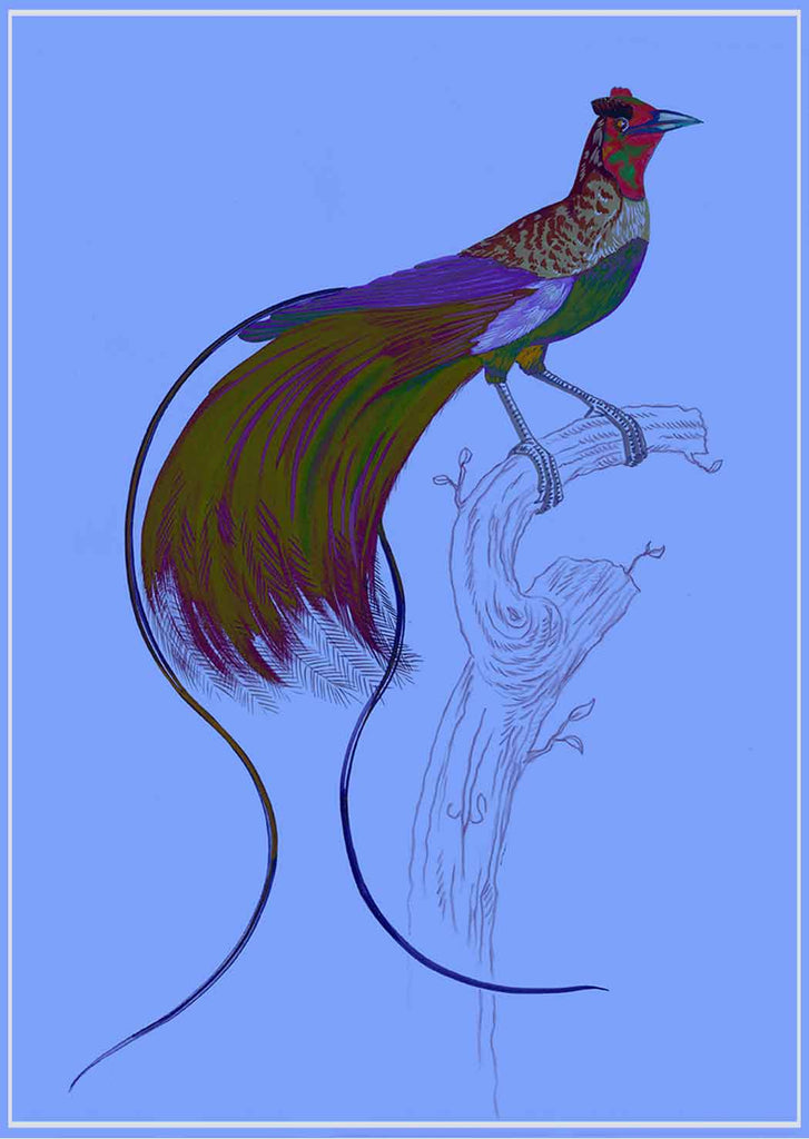 "Kid Creole 3" by Metin Salih