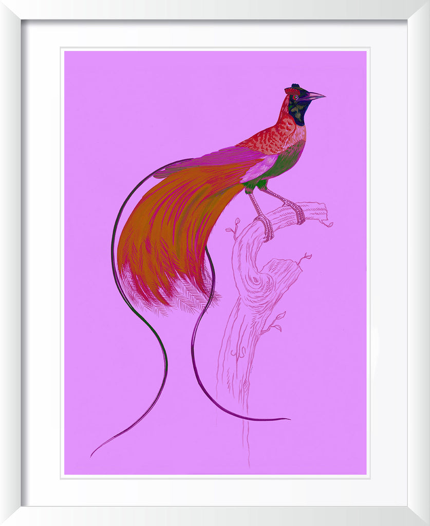 "Kid Creole 5" by Metin Salih