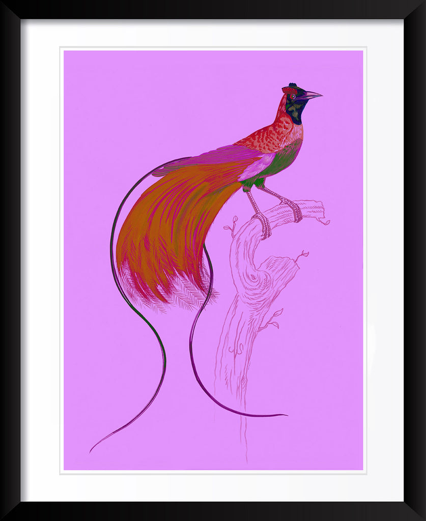 "Kid Creole 5" by Metin Salih