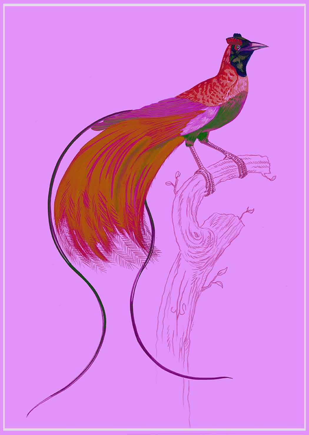 "Kid Creole 5" by Metin Salih