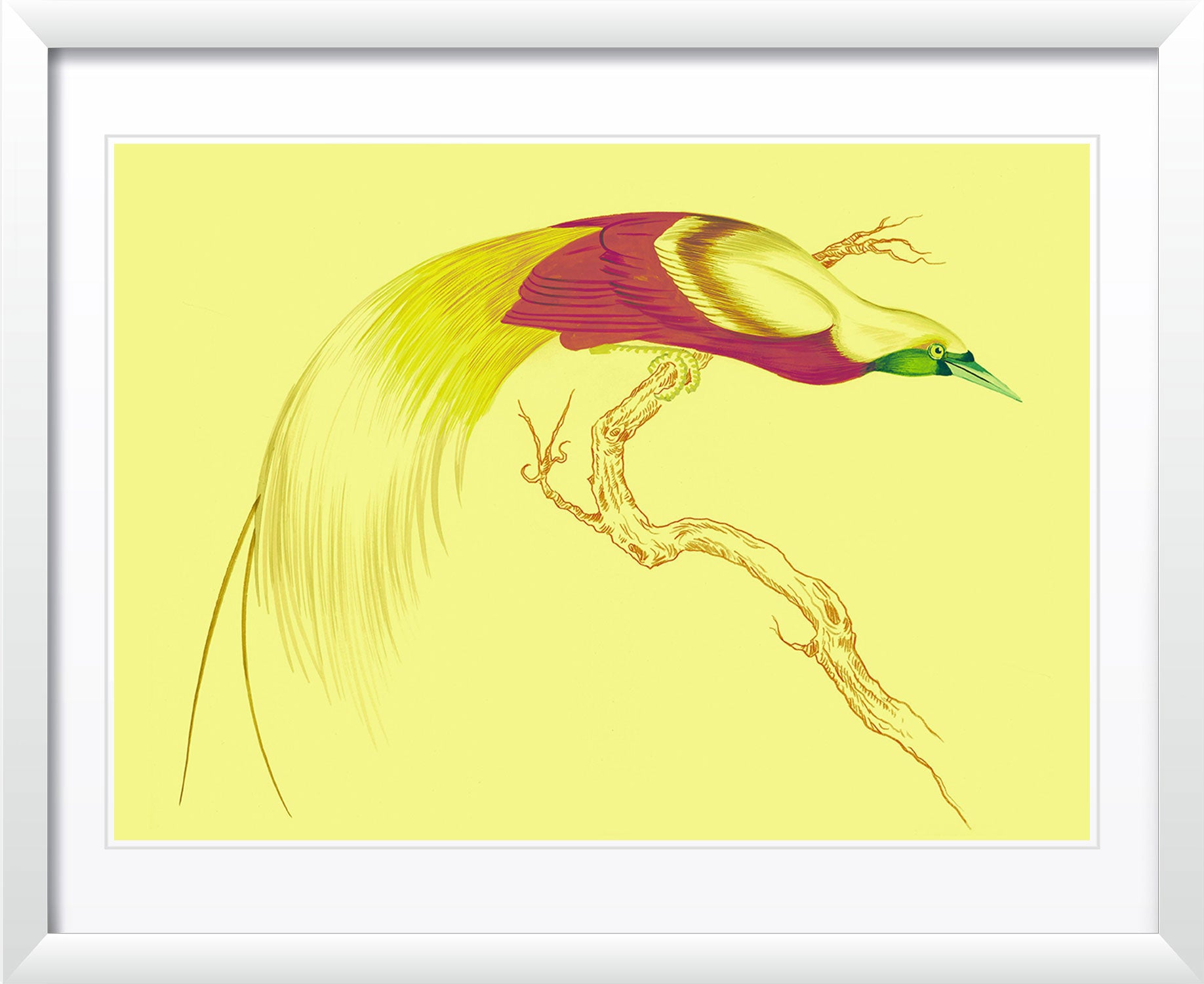 "Swoop & Sway 5" by Metin Salih