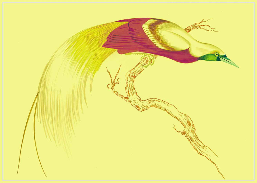 "Swoop & Sway 5" by Metin Salih