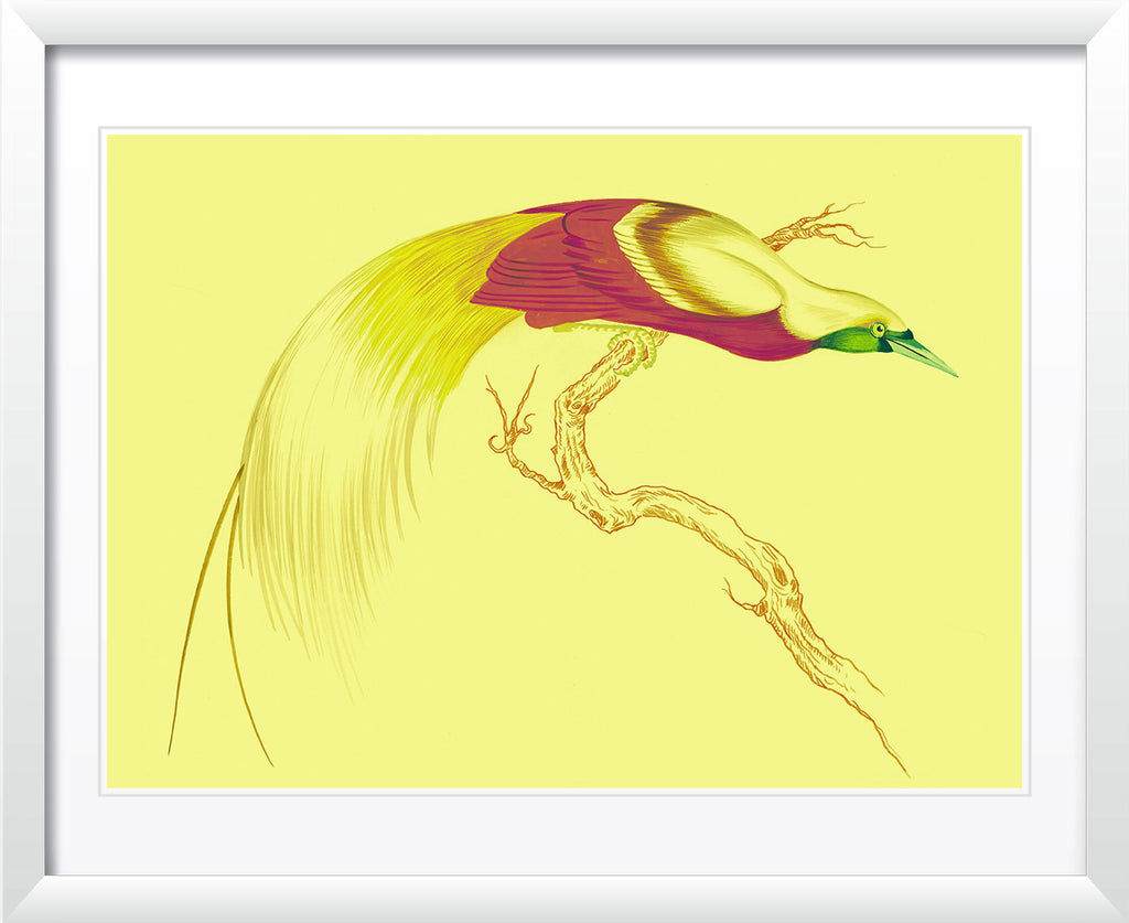 "Swoop & Sway 5" by Metin Salih