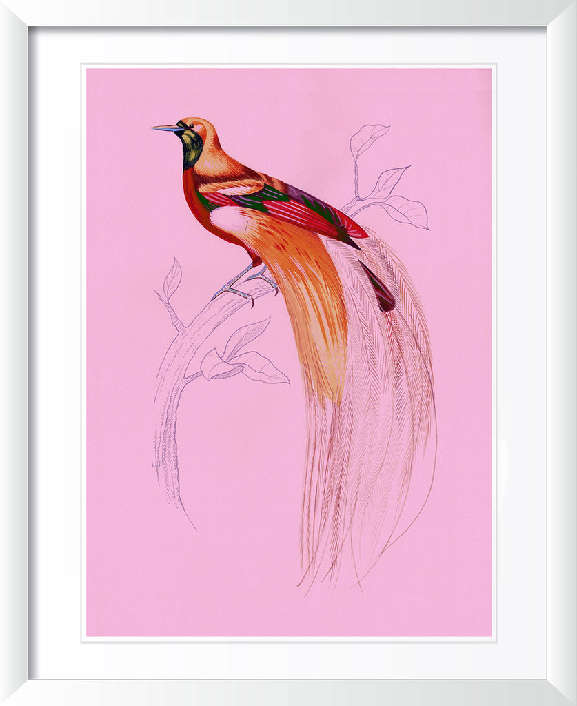 "Fashionista 2" by Metin Salih