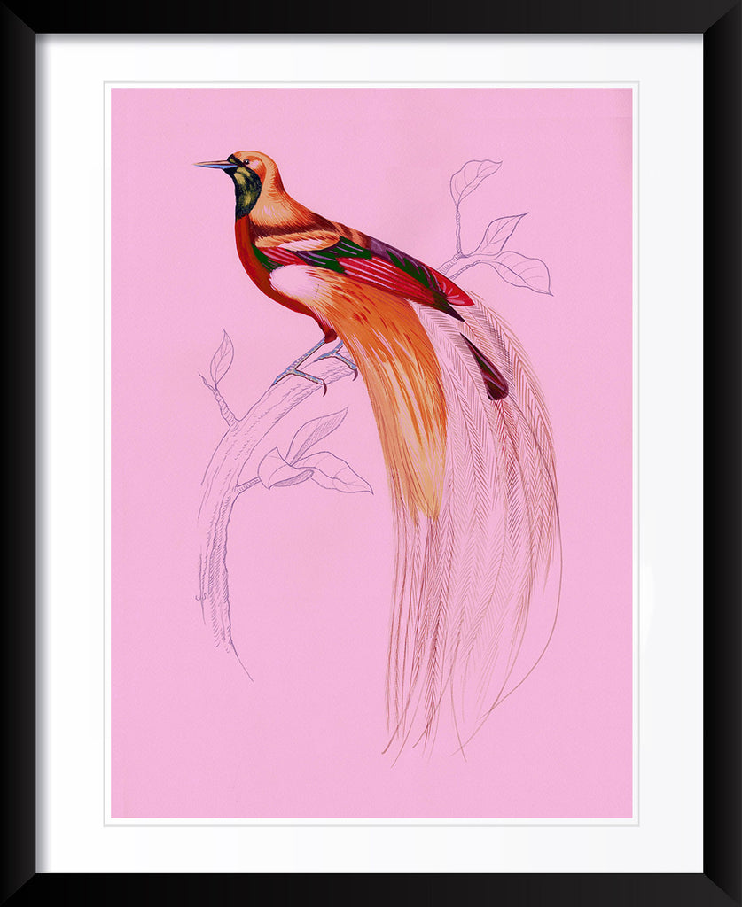 "Fashionista 2" by Metin Salih