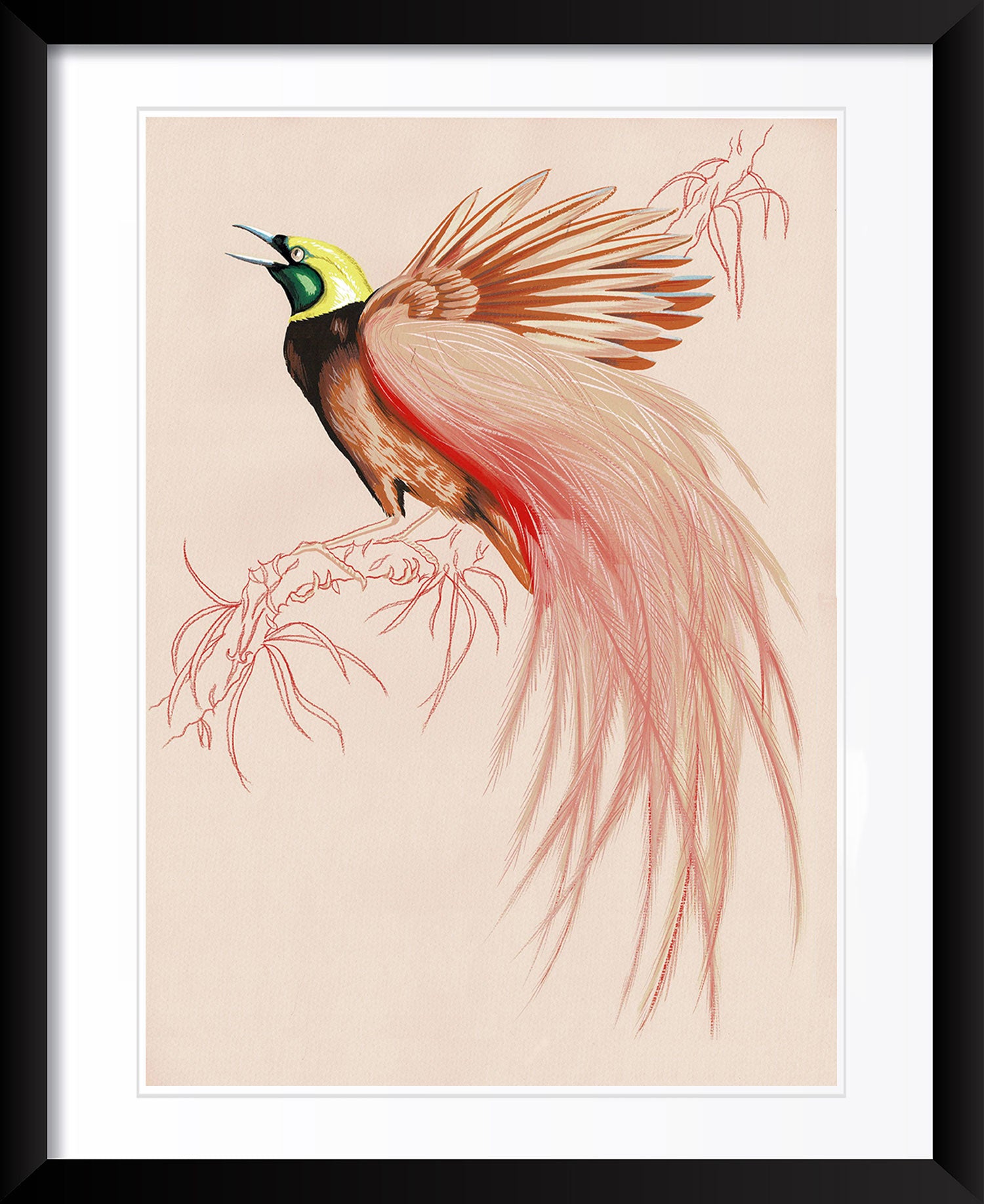 "Sugar Boo 1" by Metin Salih