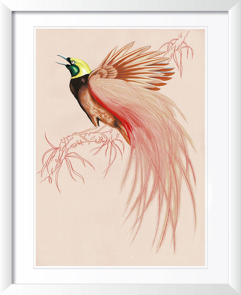 "Sugar Boo 1" by Metin Salih