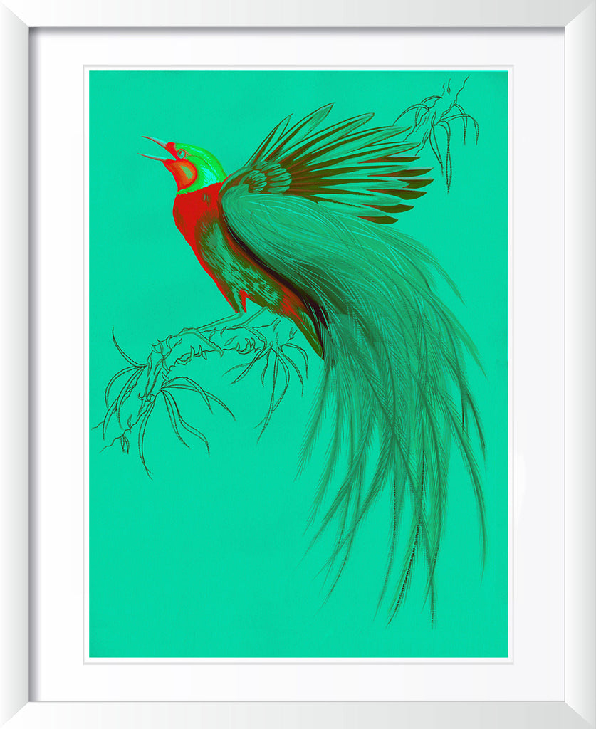 "Sugar Boo 3" by Metin Salih