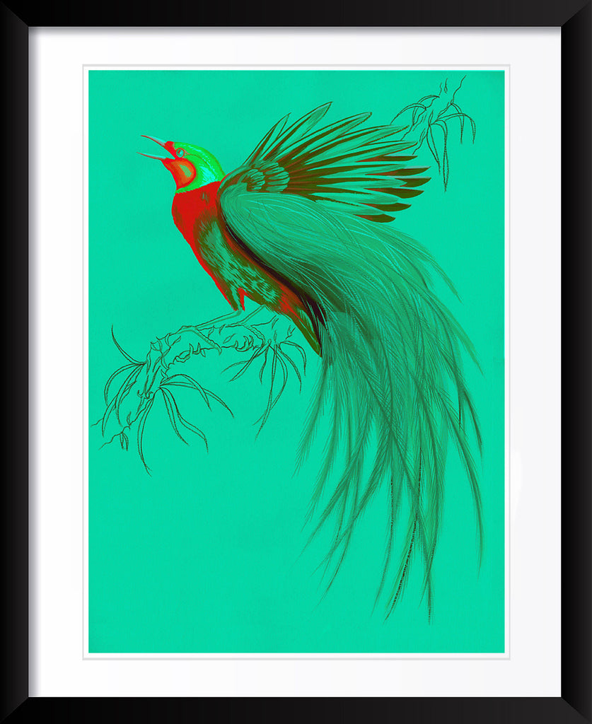 "Sugar Boo 3" by Metin Salih