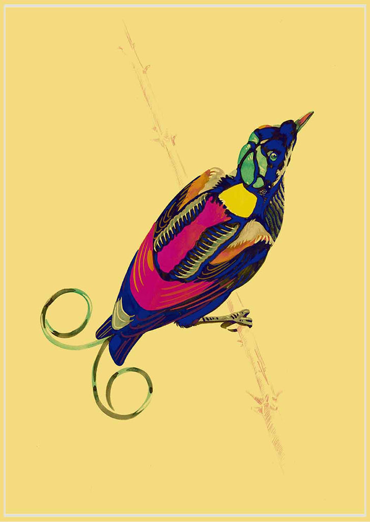 "Studio 96 4" by Metin Salih