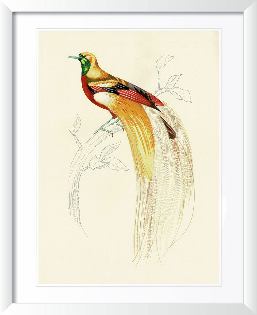 "Fashionista 1" by Metin Salih