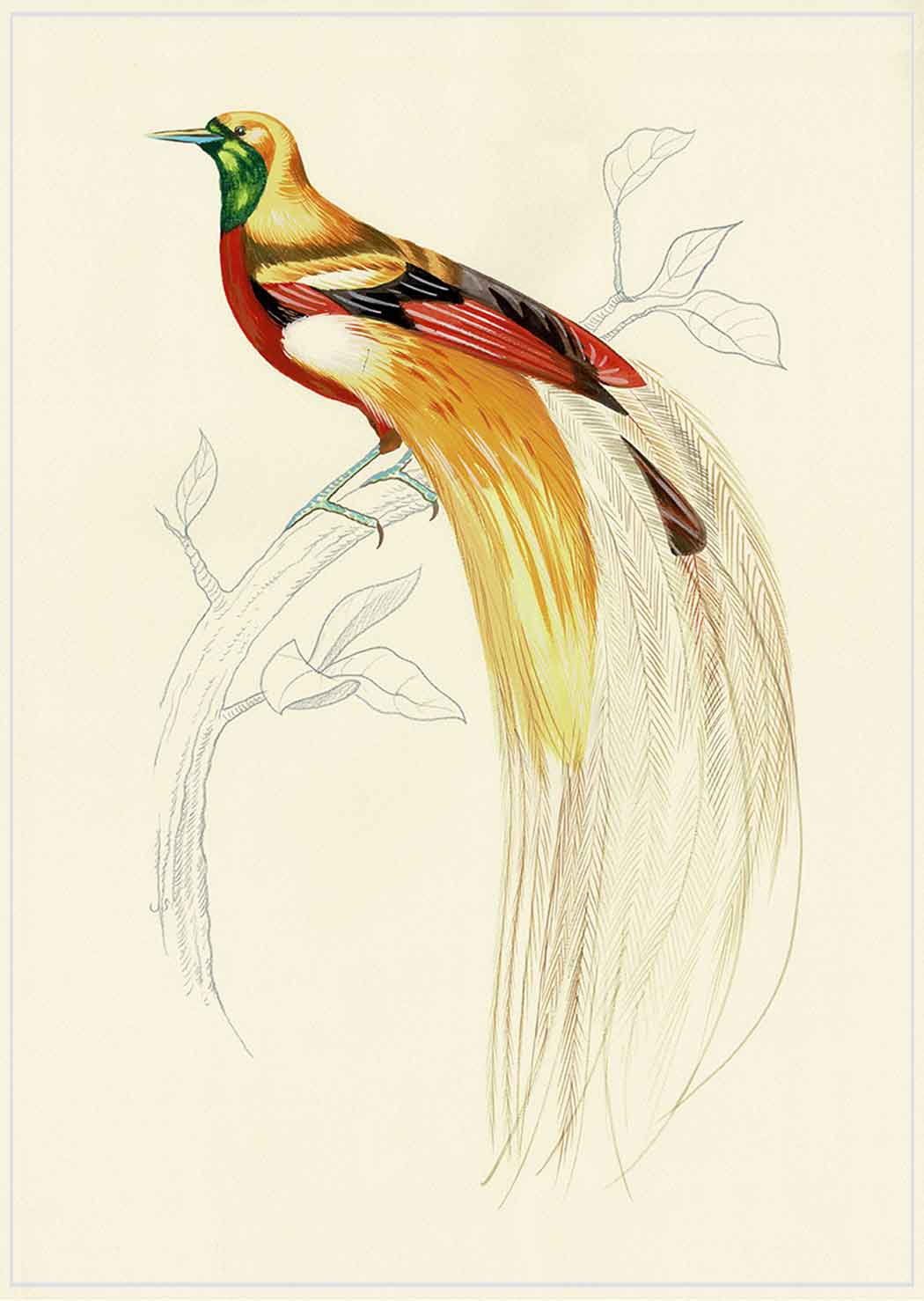 "Fashionista 1" by Metin Salih