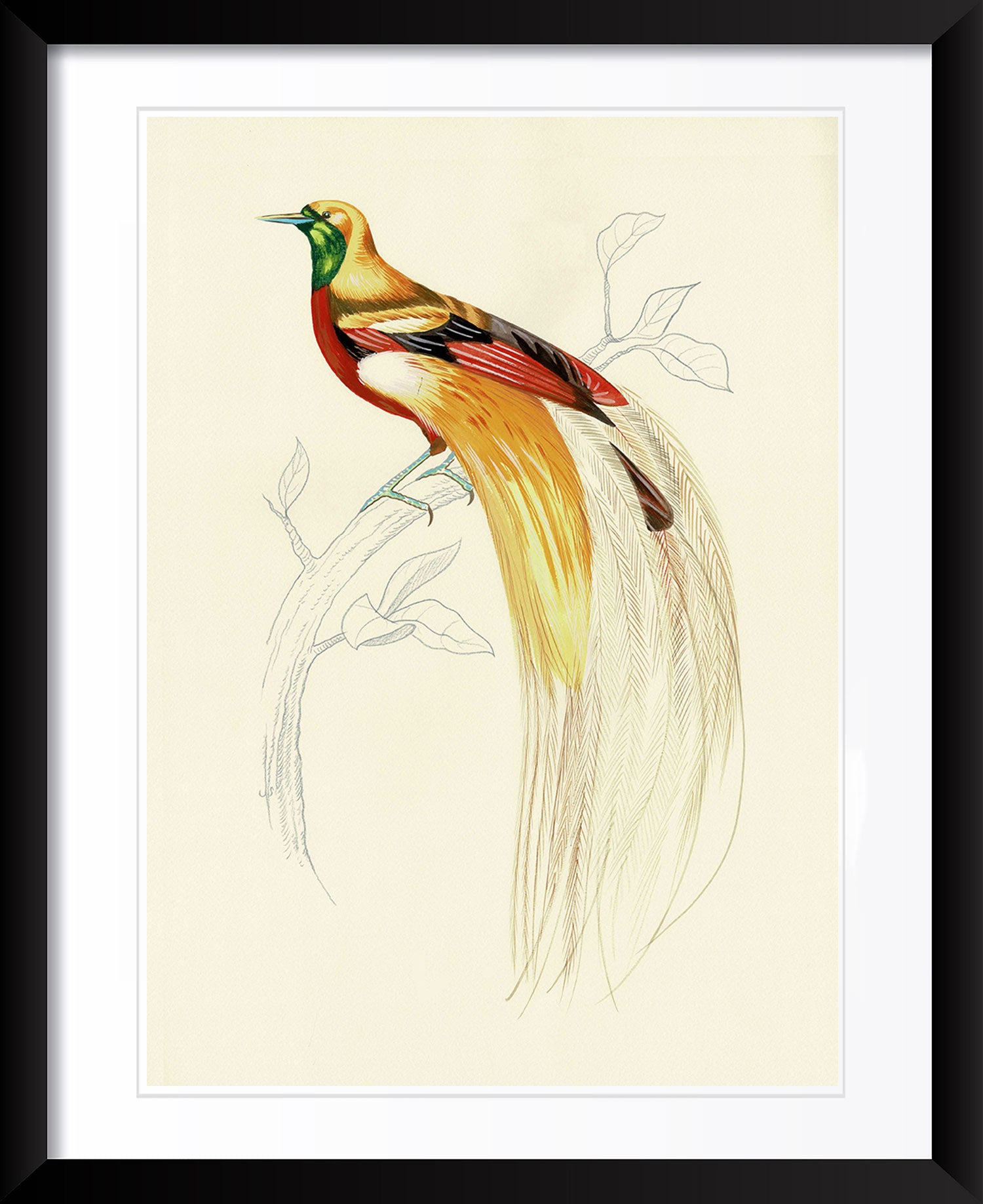 "Fashionista 1" by Metin Salih