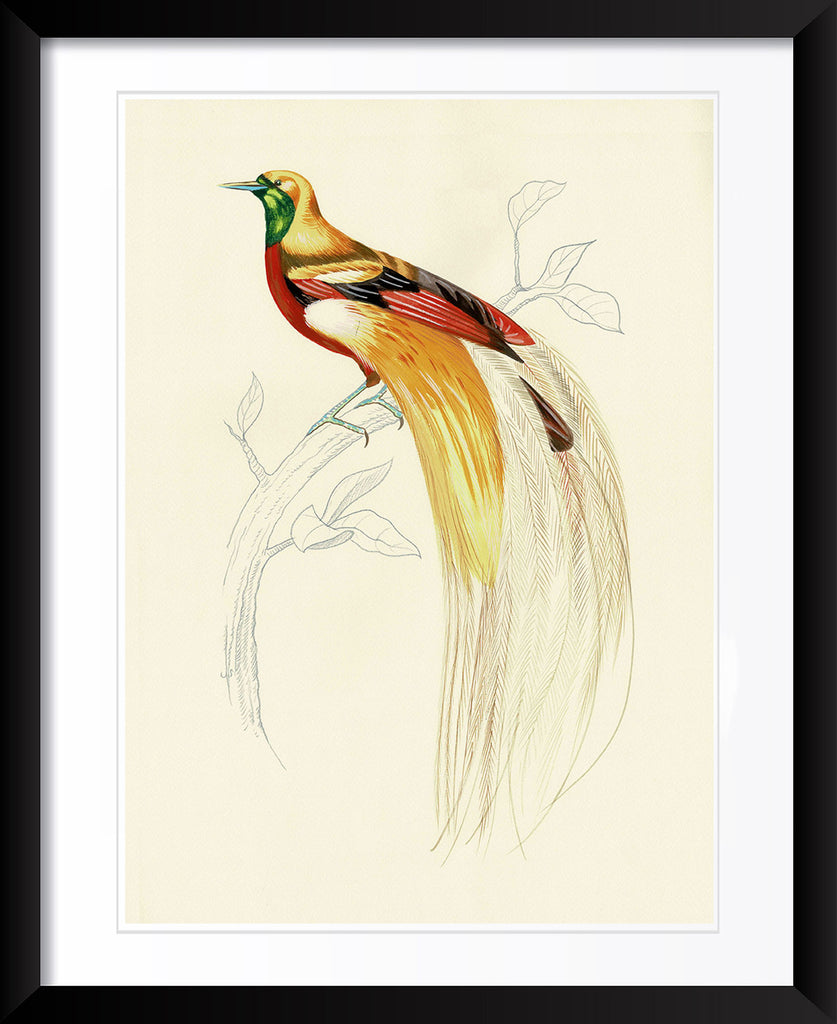 "Fashionista 1" by Metin Salih