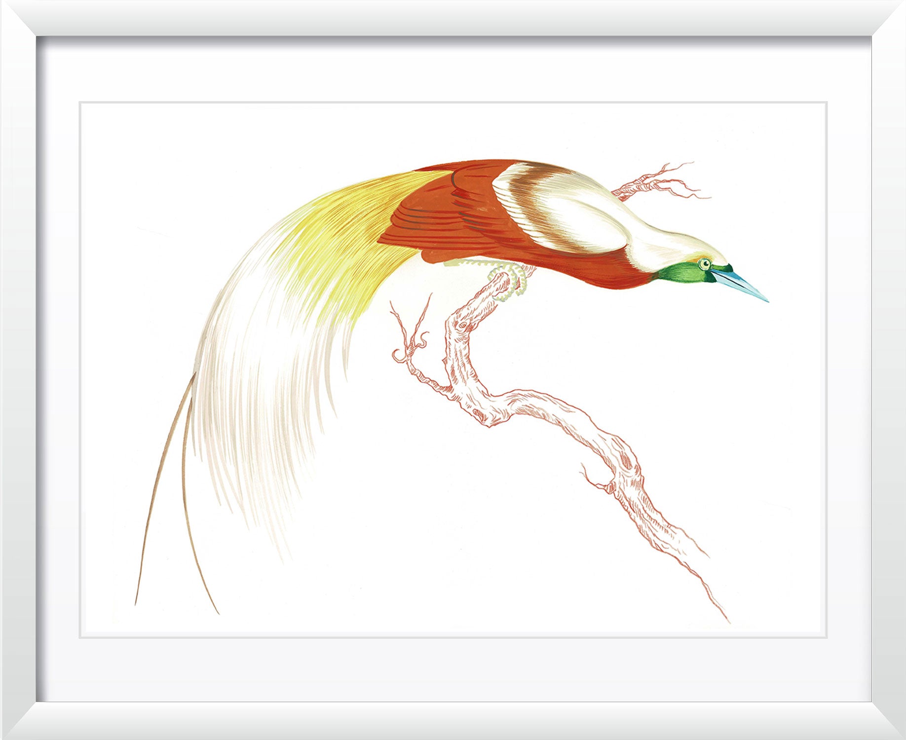 "Swoop & Sway 1" by Metin Salih