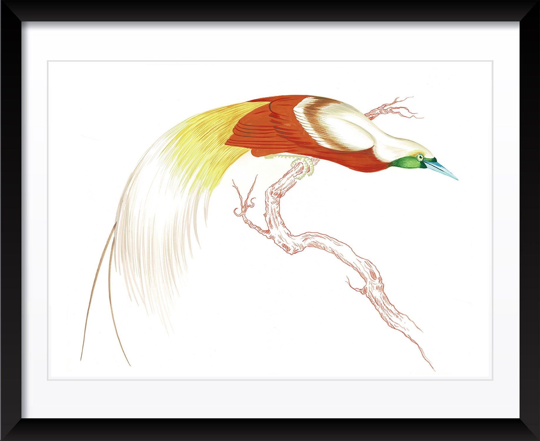 "Swoop & Sway 1" by Metin Salih