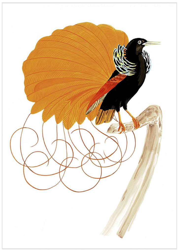 "Pretty Fly 1" by Metin Salih