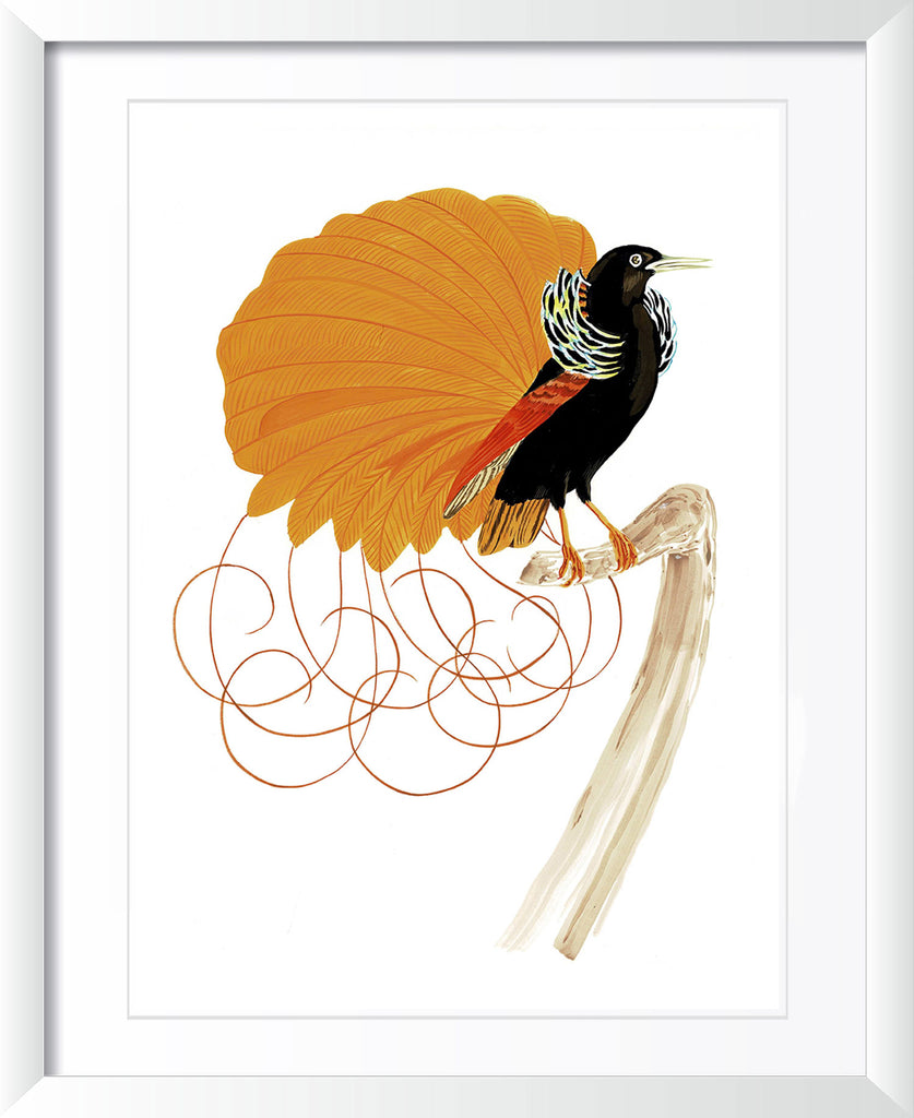 "Pretty Fly 1" by Metin Salih