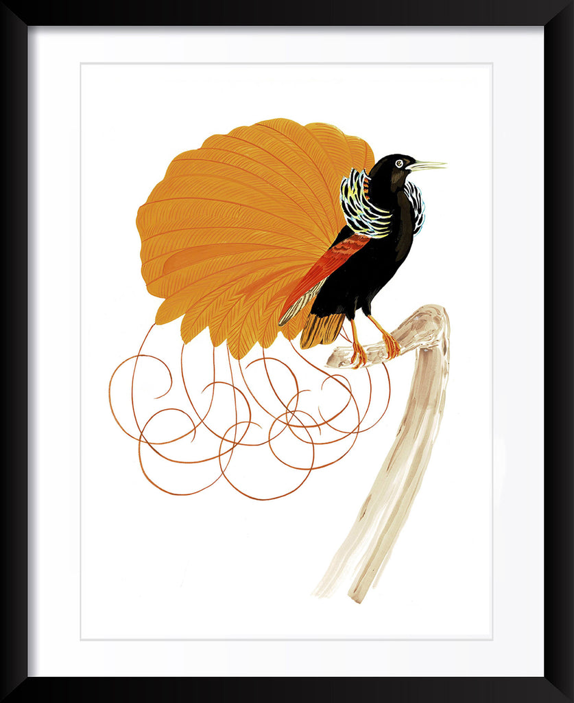 "Pretty Fly 1" by Metin Salih