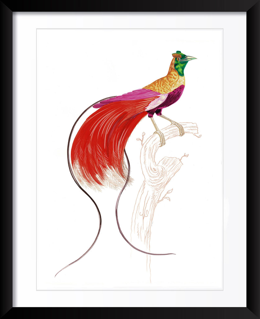 "Kid Creole 1" by Metin Salih