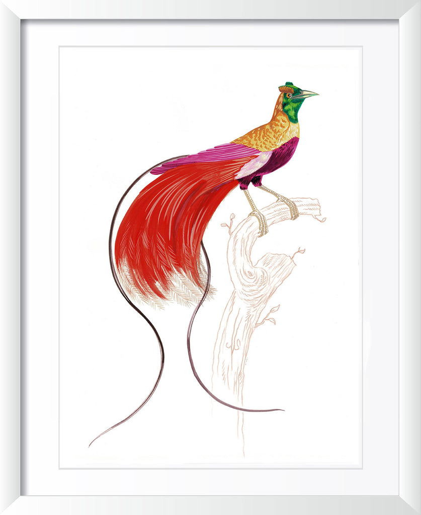 "Kid Creole 1" by Metin Salih