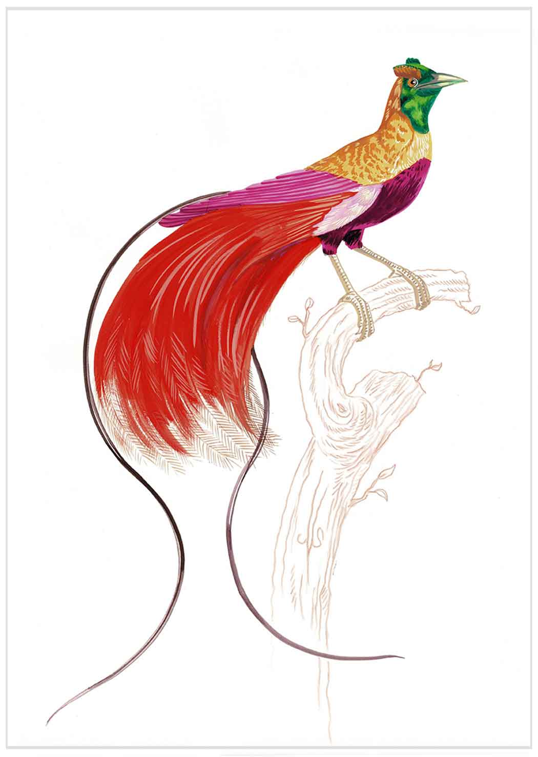 "Kid Creole 1" by Metin Salih