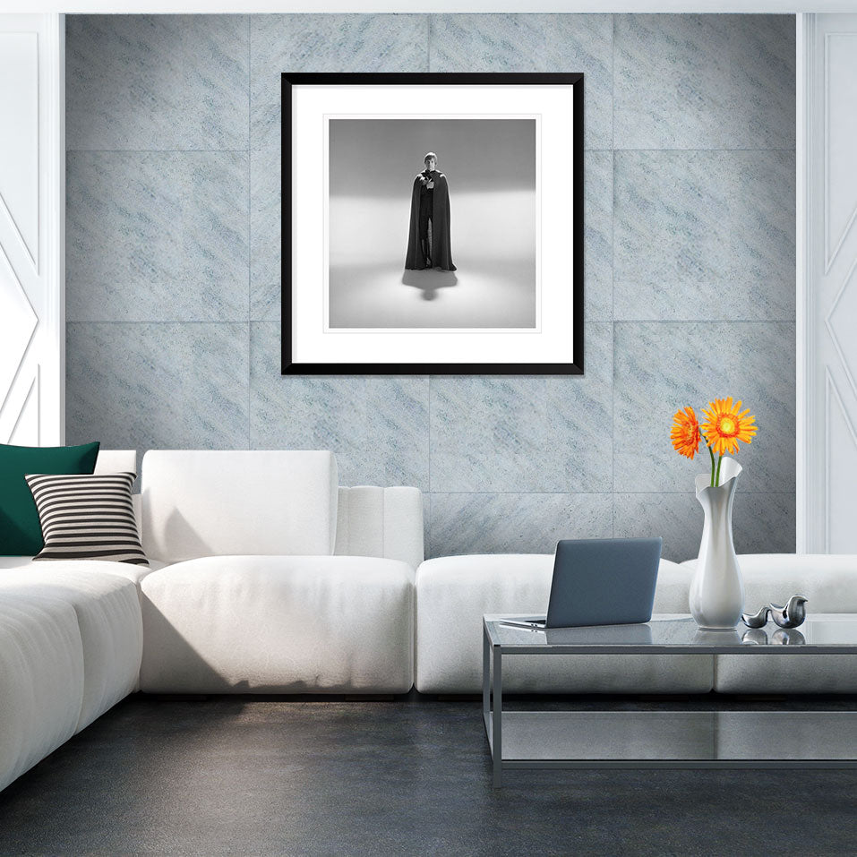 Luke Skywalker | Star Wars Photography Artwork by Brian Griffin