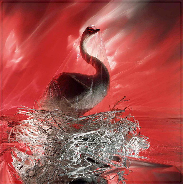 "Stuffed Swan" by Brian Griffin Photography-Artography Limited