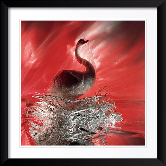 "Stuffed Swan" Photography by Brian Griffin