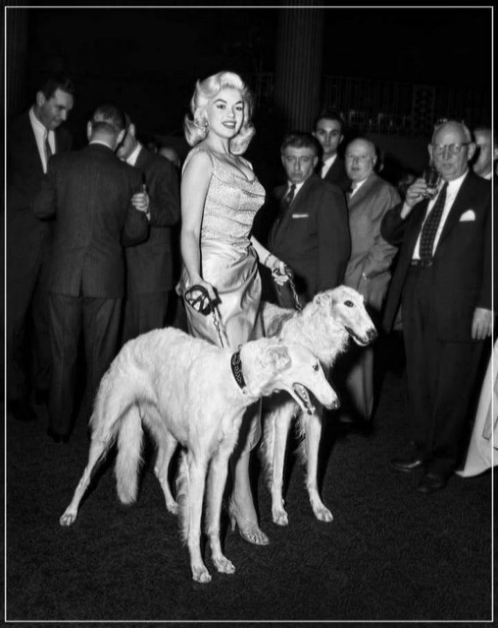 "Jayne Mansfield with Seagrams Dogs" by Barry Kramer Photography-Artography Limited