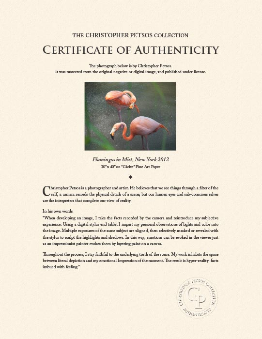 "Flamingos in Mist, New York 2012" by Christopher Petsos Photography-Artography Limited