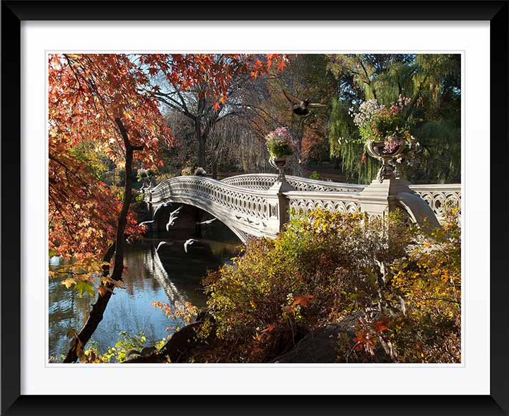 Autumn at the Bow Bridge, Central Park Wall Art by Christopher Petsos