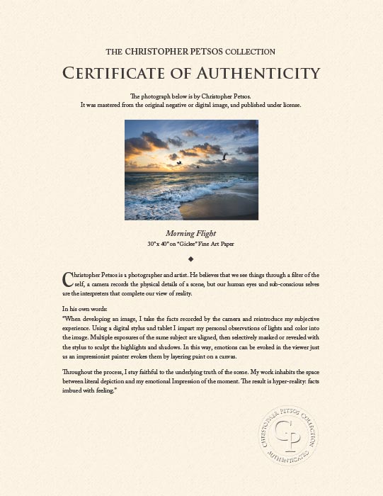 "Morning Flight" by Christopher Petsos Photography