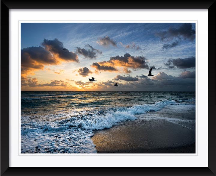 "Morning Flight" by Christopher Petsos Photography