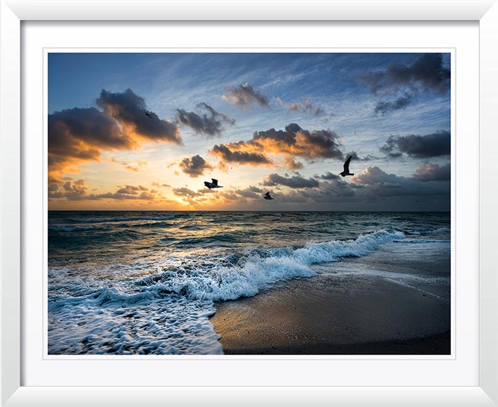 "Morning Flight" by Christopher Petsos Photography