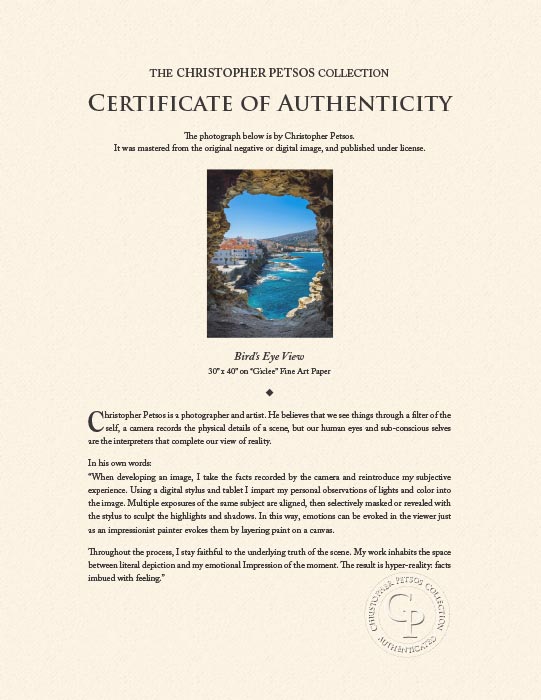 Bird's Eye View, Wall Art by Christopher Petsos