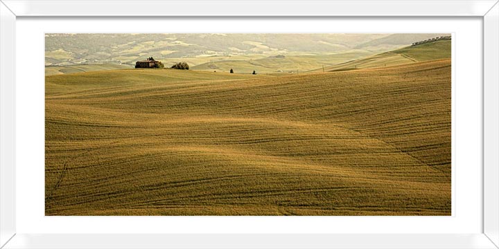"Amber Waves" by Christopher Petsos Photography