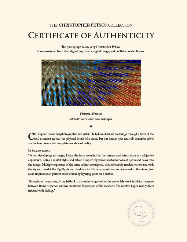 "Poison Arrows" by Christopher Petsos Photography