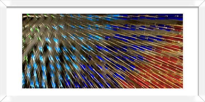 "Poison Arrows" by Christopher Petsos Photography