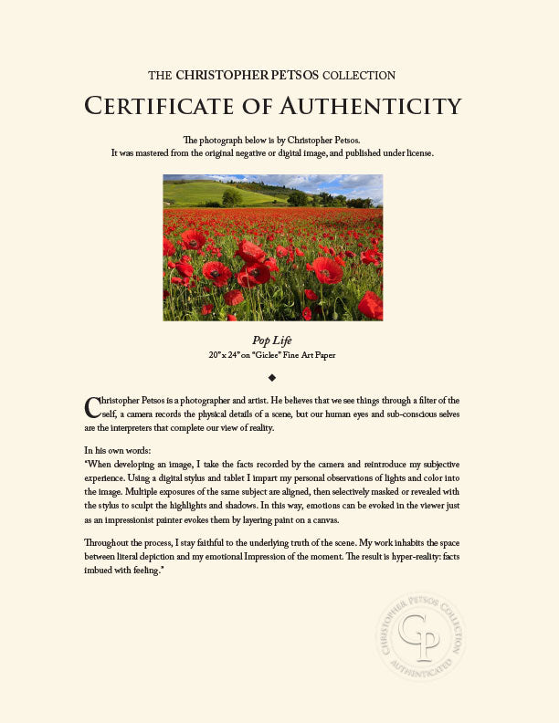 "Pop Life" by Christopher Petsos Photography